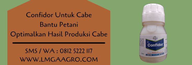 confidor,pestisida,racun serangga,insektisida,budidaya cabe,budidaya cabai