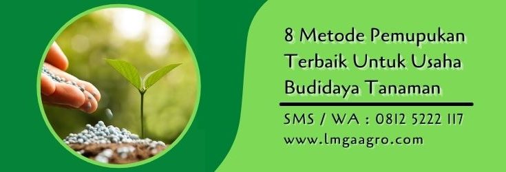 8 metode pemupukan,pemupukan,pupuk,budidaya tanaman,petani,lmga agro