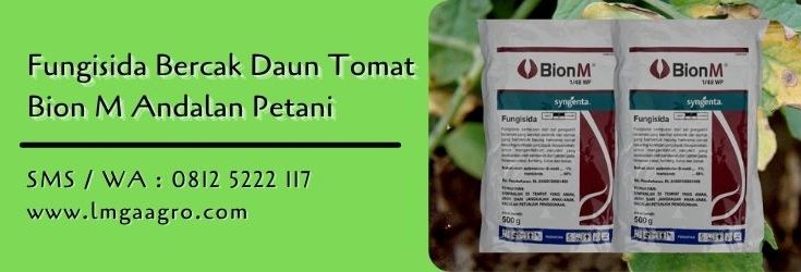fungisida bercak daun tomat,fungisida,pestisida,budidaya tomat,petani,lmga agro