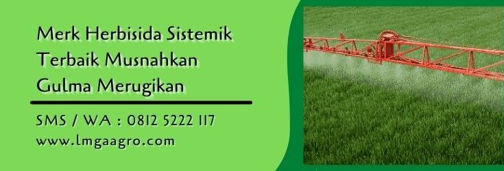 merk herbisida sistemik terbaik,herbisida,herbisida sistemik,petani,gulma,tanaman gulma,lmga agro