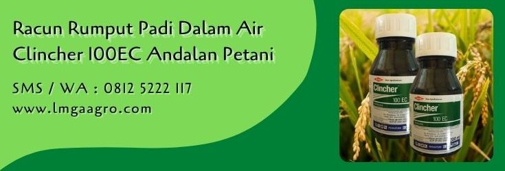 racun rumput padi dalam air,racun rumput,gulma,herbisida,obat gulma,lmga agro