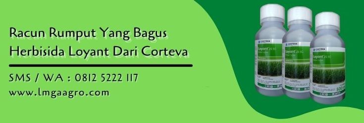 racun rumput yang bagus,racun rumput,budidaya tanaman,tanaman padi,lmga agro