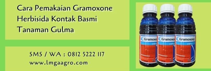 cara pemakaian gramoxone herbisida,herbisida,racun rumput,pestisida,lmga agro