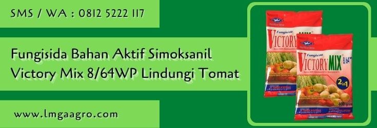 fungisida bahan aktif simoksanil,fungisida,pestisida sistemik,budidaya tomat,tanaman tomat,lmga agro