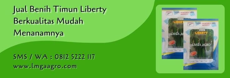 benih timun liberty,benih timun,budidaya timun,bibit timun,lmga agro