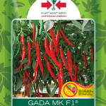 cabe merah,benih cabe,budidaya cabe