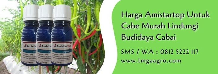 harga amistartop untuk cabe,budidaya cabe,benih cabe,budidaya cabe,pestisida,fungisida,pestisida sistemik,lmga agro