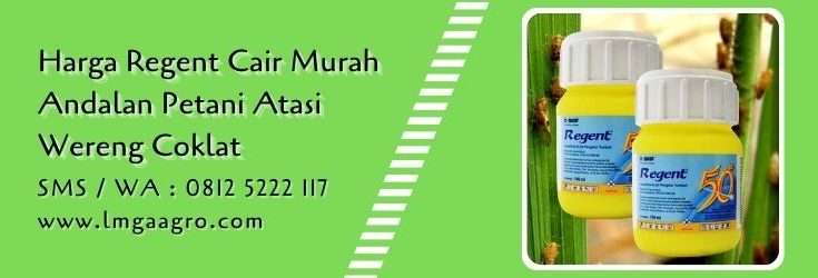 harga regent cair,budidaya padi,tanaman padi,hama tanaman,wereng coklat,insektisida,pestisida,lmga agro