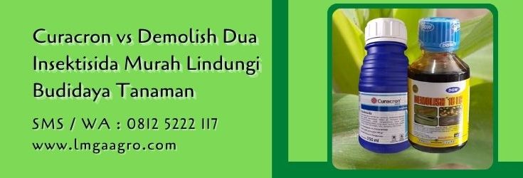 curacron vs demolish,budidaya tanaman,insektisida,insektisida sistemik,pestisida sistemik,petani,insektisida curacron,bahan aktif curacron,demolish adalah,bahan aktif demolis,lmga agro