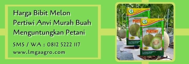 harga bibit melon pertiwi anvi,melon,budidaya melon,benih melon,tanaman buah melon,petani,lmga agro