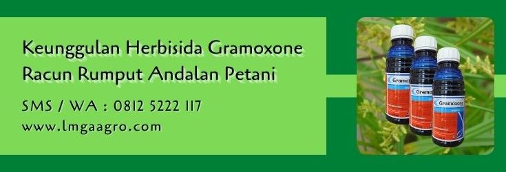 keunggulan herbisida gramoxone,herbisida gramoxone,tanaman gulma,herbisida kontak,lmga agro