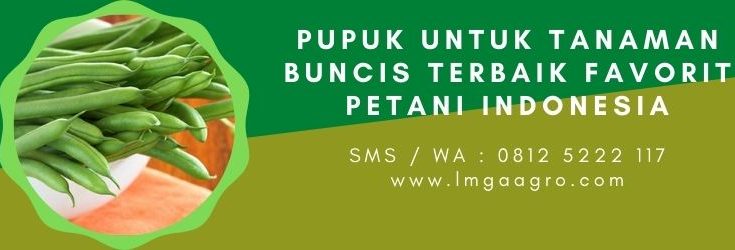 Pupuk anorganik, pupuk organik, jenis-jenis pupuk, bibit buncis unggul, manfaat buncis