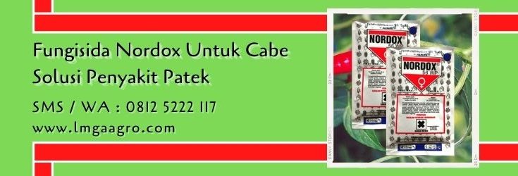 fungisida nordox untuk cabe,budidaya cabe,fungisida nordox,antraknosa,patek,lmga agro