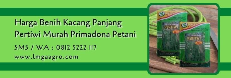 harga benih kacang panjang pertiwi,budidaya kacang panjang,kacang panjang,tanaman kacang panjang,lmga agro