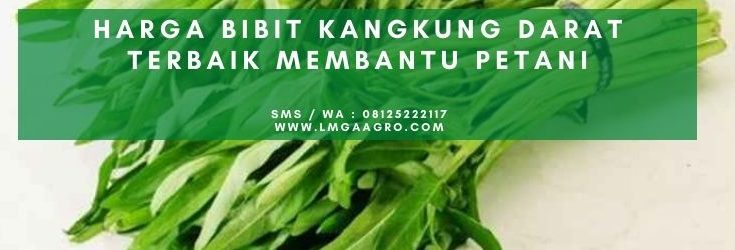 Kangkung darat, manfaat kangkung, sayur kangkung, kandungan kangkung, cah kangkung