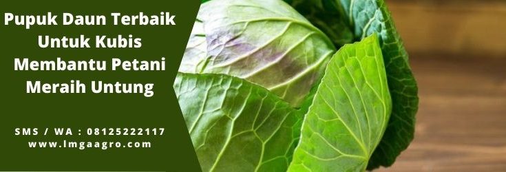 Pupuk organik, pupuk cair, jenis pupuk, pupuk cair organik, daun kubis