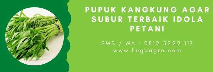 Pupuk majemuk lengkap, pupuk organik cair, pupuk cair, sayuran kangkung, hidroponik kangkung