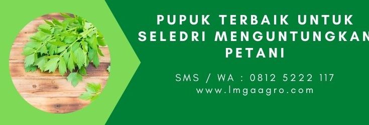 Jenis-jenis pupuk, harga pupuk, sayur seledri, khasiat seledri, tanaman seledri