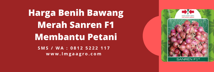 Pohon bawang merah, sanren f1, benih bawang merah sanren f1, khasiat bawang merah, fungsi bawang merah