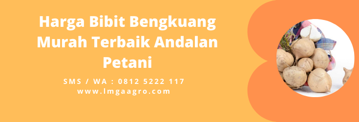 Manfaat bengkuang, khasiat bengkoang, manfaat buah bengkoang, manfaat makan bengkoang, manfaat bengkoang untuk lambung.