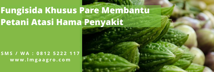 fungisida sistemik, fungisida kontak, manfaat fungisida, tumbuhan pare, sayur paria, LMGA AGRO