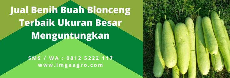 cara menanam labu air, resep sayur blonceng, budidaya blonceng, jarak tanam labu air, budidaya labu air, LMGA AGRO