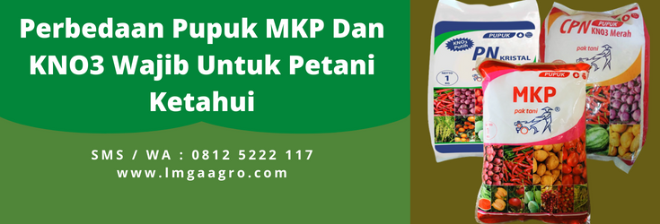 Jenis-jenis pupuk, pupuk mkp vs kno3, pupuk tanaman, budidaya tanaman, pupuk majemuk, lmga agro