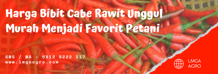 Tanam cabai, pohon cabe, tanaman cabe, harga benih cabe rawit, jual bibit cabe rawit, lmga agro
