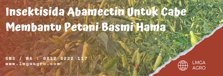 Insektisida abamectin bening, tanam cabe, cabai, contoh hama, racun hama, lmga agro