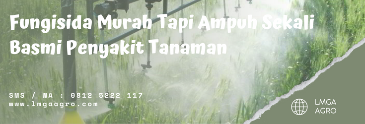 Fungisida terbaru, fungisida sistemik terbaik, fungisida murah tapi ampuh, harga fungisida cair, penyakit tanaman, LMGA AGRO