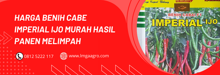 Budidaya cabe, cara menanam cabe, tanam cabe, benih cabe imperial, bibit cabe besar, LMGA AGRO