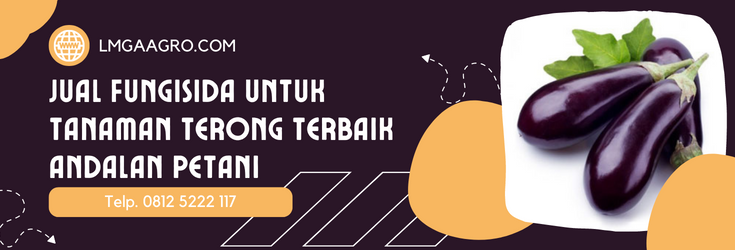 penyakit tanaman terong, sayur terong, budidaya terong, fungisida untuk tanaman terong, pohon terong, LMGA AGRO