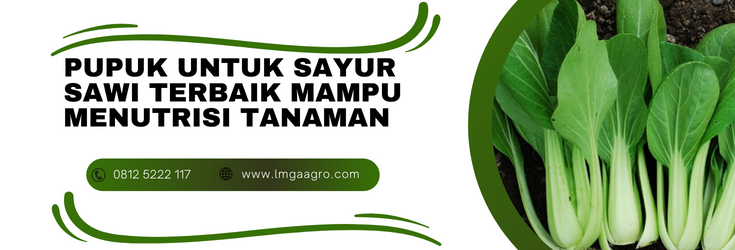 Cara menanam sawi, tanam sawi, pupuk untuk sayur sawi, jenis pupuk, budidaya sawi, LMGA AGRO