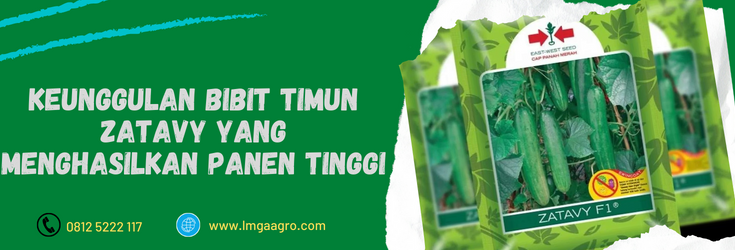 bibit timun zatavy, harga bibit timun zatavy, budidaya timun zatavy, benih timun zatavy, benih timun cap panah merah