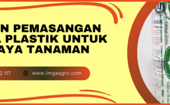 Budidaya tanaman, harga plastik mulsa, tujuan pemasangan mulsa,fungsi mulsa, mulsa hitam perak, lmga agro