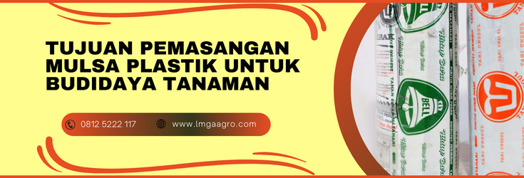 Budidaya tanaman, harga plastik mulsa, tujuan pemasangan mulsa,fungsi mulsa, mulsa hitam perak, lmga agro