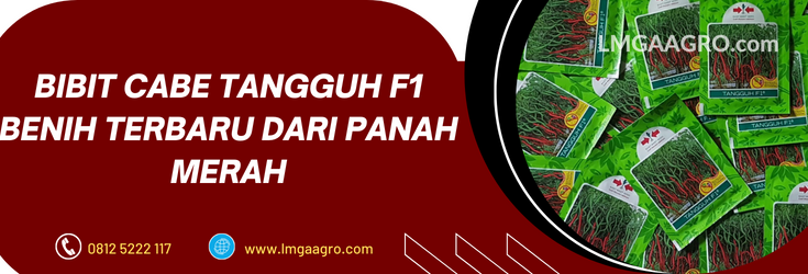cabe tangguh f1, cabe tangguh, benih cabe tangguh, bibit cabe f1, bibit cabe keriting f1, bibit cabe keriting panah merah