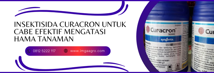 insektisida curacron untuk cabe, dosis curacron untuk cabe, manfaat curacron, bahan aktif curacron 500 ec, cara pemakaian curacron, insektisida untuk cabe