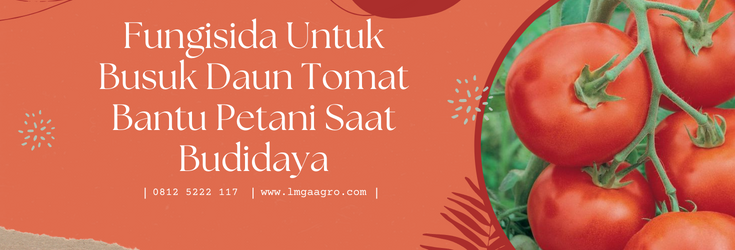 Tanam tomat, budidaya tomat, fungisida untuk busuk daun tomat, penyakit tomat, penyakit pada tomat, lmga agro