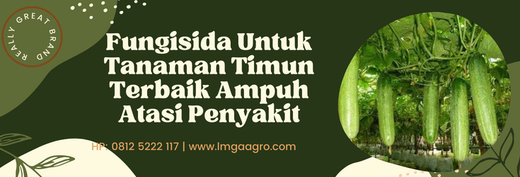 Fungisida untuk tanaman timun, budidaya timun, budidaya timun, pohon mentimun, menanam timun, LMGA AGRO