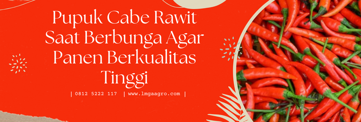 Jual Pupuk Cabe Rawit Saat Berbunga Terbaik Harga Murah | Lmga Agro