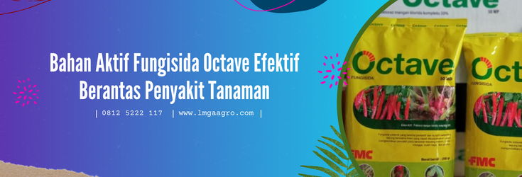 octave fungisida, manfaat fungisida octave, fungisida bahan aktif prokloraz, fungisida tahan hujan, bahan aktif fungisida untuk layu fusarium