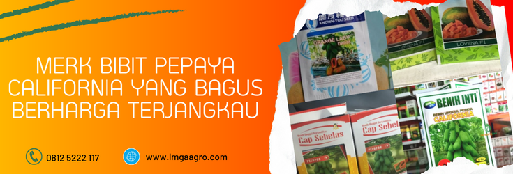 bibit pepaya california, harga bibit pepaya california, benih pepaya california, bibit pepaya california super, jual bibit pepaya california terdekat