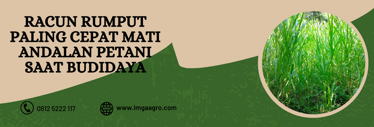 herbisida,racun rumput,herbisida roundup, tanaman, pertanian, Lmga Agro