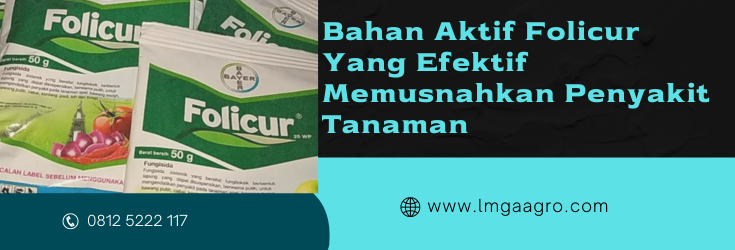folicur fungisida, manfaat fungisida folicur, bahan aktif fungisida folicur, waktu penyemprotan folicur, folicur bahan aktif