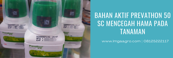 prevathon insektisida, bahan aktif prevathon, prevathon 50 sc, bahan aktif insektisida prevathon, pestisida prevathon