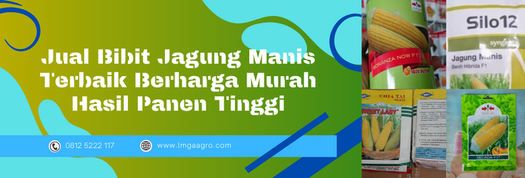 bibit jagung manis, benih jagung manis, benih jagung terbaik, bibit jagung terbaik, benih jagung manis terbaik