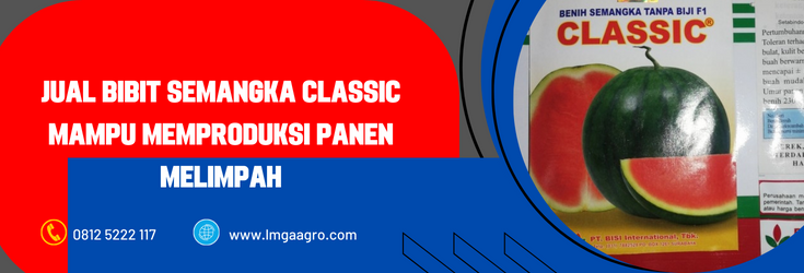 bibit semangka non biji, benih semangka, semangka non biji, harga bibit semangka, bibit semangka terbaik, harga bibit semangka non biji