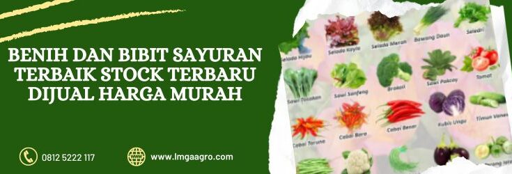Benih, Bibit, Jual Benoh, Jual Bibit, Hibrida, Unggul, Petani, Pertanian, Harga Murah, Toko Pertanian, Toko Pertanian Terdekat, Olshop, Online Shop, Toko Online, Lmga Agro