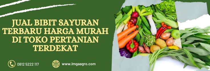 Bibit Sayuran, Jual Bibit Sayuran, Benih Sayuran, Benih, Bibit, Tanaman Sayur, Budidaya, Jual Benih, Jual Bibit, Lmga Agro, Toko Pertanian Terdekat, Toko Tani, Toko pertanian